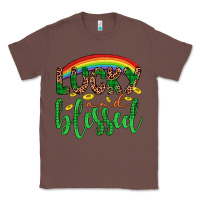 Chestnut Western St. Patrick's Rainbow Lucky And Blessed Classic Tee - Artiststas