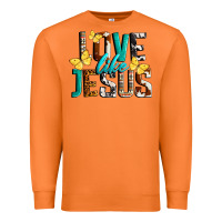 Carrot Love Like Jesus Premium Sweatshirt - LillyAllenDesigns