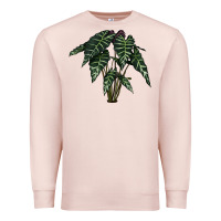 Pale Pink Amazon Elephant Ear Premium Sweatshirt - LillyAllenDesigns