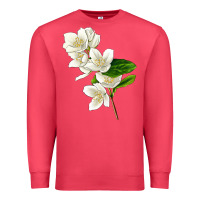 Cardinal Mock Oranges Premium Sweatshirt - LillyAllenDesigns