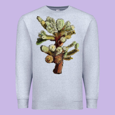 Cholla Tree Cactus Premium Sweatshirt Designed By Lillyallendesigns