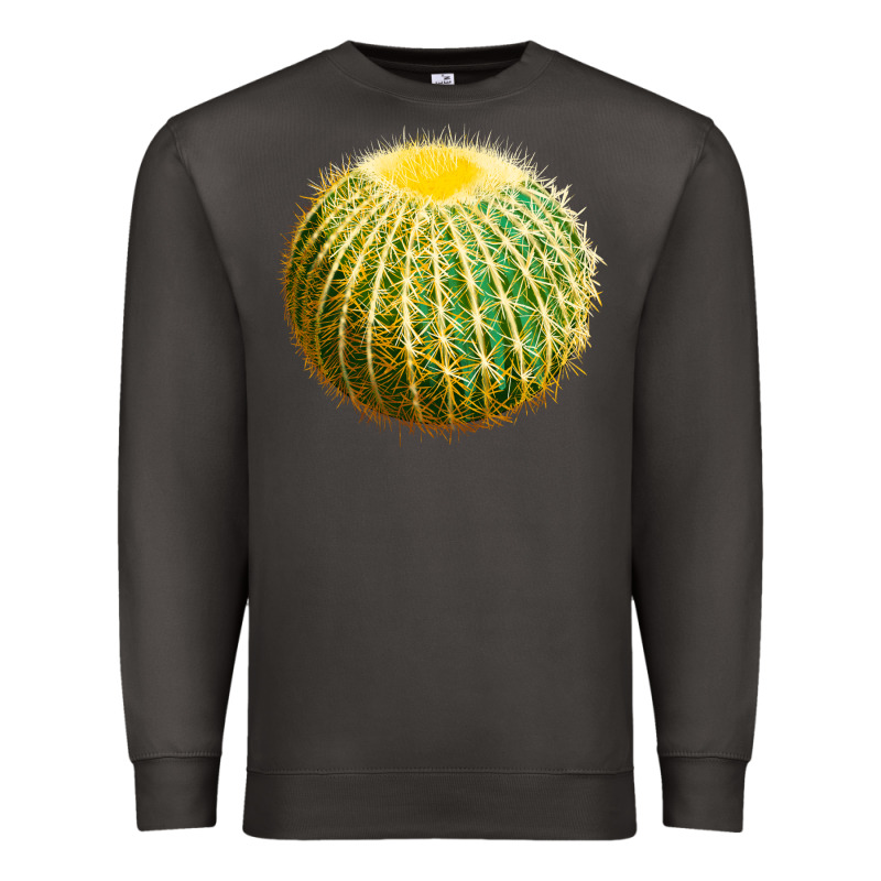 Golden Barrel Cactus Premium Sweatshirt by LillyAllenDesigns | Teevron