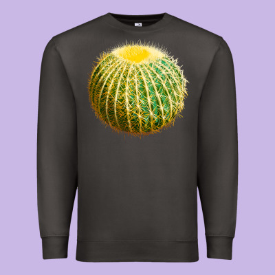 Golden Barrel Cactus Premium Sweatshirt Designed By Lillyallendesigns