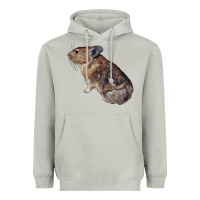 Moon Dust pika Heavyweight Hoodie - LillyAllenDesigns