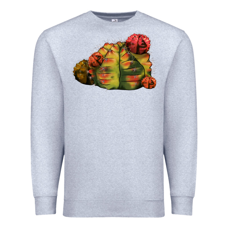 Gymnocalycium Variegated Cactus Premium Sweatshirt by LillyAllenDesigns | Teevron