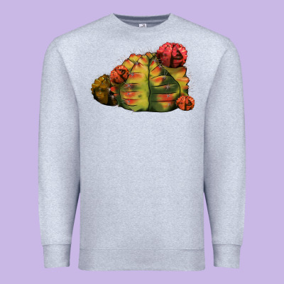 Gymnocalycium Variegated Cactus Premium Sweatshirt Designed By Lillyallendesigns