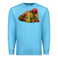 Ocean Blue Gymnocalycium Variegated Cactus Premium Sweatshirt - LillyAllenDesigns