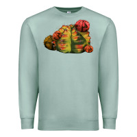 Seafoam Gymnocalycium Variegated Cactus Premium Sweatshirt - LillyAllenDesigns
