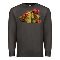 Smoke Gymnocalycium Variegated Cactus Premium Sweatshirt - LillyAllenDesigns