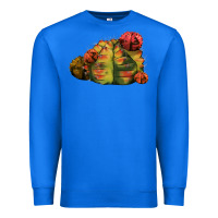 True Royal Gymnocalycium Variegated Cactus Premium Sweatshirt - LillyAllenDesigns