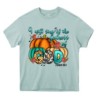 Arona i will sing of the godness of god psalm 89 1 Heavy Core Tee - RanaPortraitStore