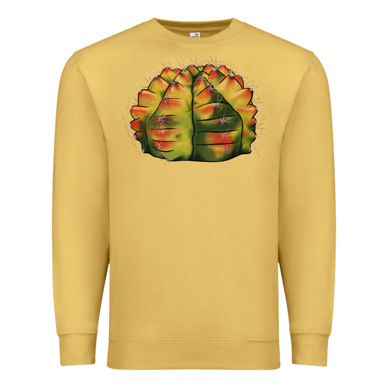 Gymnocalycium Variegated Cactus Premium Sweatshirt by LillyAllenDesigns | Teevron