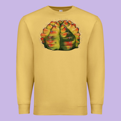 Gymnocalycium Variegated Cactus Premium Sweatshirt Designed By Lillyallendesigns