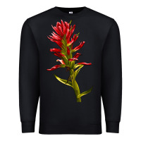 Black Indian Paintbrush Premium Sweatshirt - LillyAllenDesigns