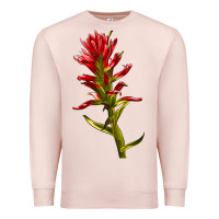 Pale Pink Indian Paintbrush Premium Sweatshirt - LillyAllenDesigns