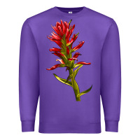 Purple Indian Paintbrush Premium Sweatshirt - LillyAllenDesigns