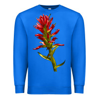 True Royal Indian Paintbrush Premium Sweatshirt - LillyAllenDesigns