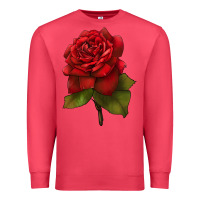 Cardinal Oklahoma Rose Illustrations Premium Sweatshirt - LillyAllenDesigns