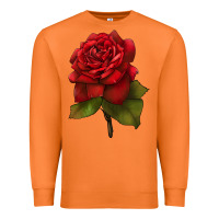 Carrot Oklahoma Rose Illustrations Premium Sweatshirt - LillyAllenDesigns
