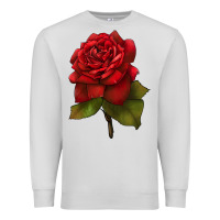 Dove Grey Oklahoma Rose Illustrations Premium Sweatshirt - LillyAllenDesigns