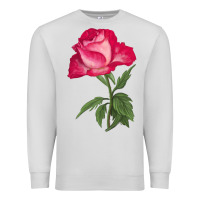 Dove Grey Love At First Sight Rose Premium Sweatshirt - LillyAllenDesigns