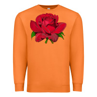 Carrot Oklahoma Rose Illustrations Premium Sweatshirt - LillyAllenDesigns