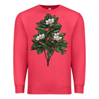 Cardinal Magnolia Flower Illustrations Premium Sweatshirt - LillyAllenDesigns
