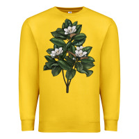 Lemon Magnolia Flower Illustrations Premium Sweatshirt - LillyAllenDesigns