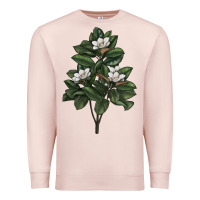 Pale Pink Magnolia Flower Illustrations Premium Sweatshirt - LillyAllenDesigns
