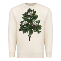 Sandshell Magnolia Flower Illustrations Premium Sweatshirt - LillyAllenDesigns