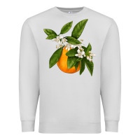 Dove Grey Tangerine Premium Sweatshirt - LillyAllenDesigns