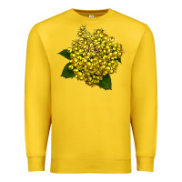 Lemon Oregon Grape Flower Illustrations Premium Sweatshirt - LillyAllenDesigns