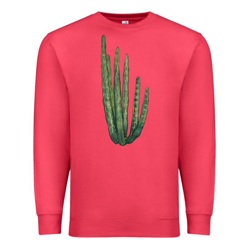 Organ Pipe Cactus Premium Sweatshirt by LillyAllenDesigns | Teevron