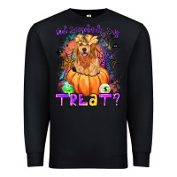 Black did somebody say treat Premium Sweatshirt - LillyAllenDesigns