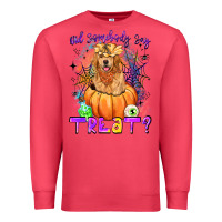 Cardinal did somebody say treat Premium Sweatshirt - LillyAllenDesigns