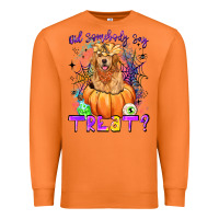 Carrot did somebody say treat Premium Sweatshirt - LillyAllenDesigns