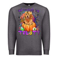 Charcoal Heather did somebody say treat Premium Sweatshirt - LillyAllenDesigns