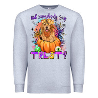 Heather Grey did somebody say treat Premium Sweatshirt - LillyAllenDesigns