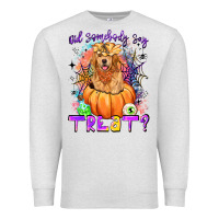 Oatmeal Heather did somebody say treat Premium Sweatshirt - LillyAllenDesigns