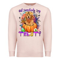 Pale Pink did somebody say treat Premium Sweatshirt - LillyAllenDesigns