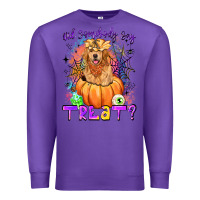 Purple did somebody say treat Premium Sweatshirt - LillyAllenDesigns