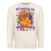 Sandshell did somebody say treat Premium Sweatshirt - LillyAllenDesigns