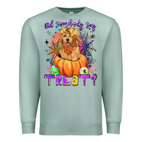 Did Somebody Say Treat Premium Sweatshirt | Teevron