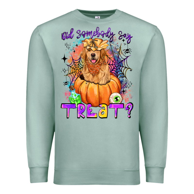 Did Somebody Say Treat Premium Sweatshirt by LillyAllenDesigns | Teevron