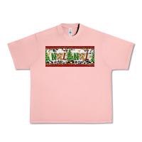 Salmon Noel Urban Heavy Tee - Artiststas
