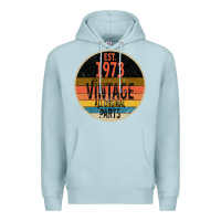 Blue Mist Est 1973 Vintage All Original Parts Premium Hoodie - Bettercallsaul