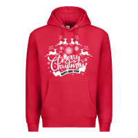 Cardinal Merry Christmas Happy New Year Premium Hoodie - Bettercallsaul