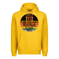 Lemon est. 1972 MADE IN 1972 ALL ORIGINAL PARTS all orginal parts Premium Hoodie - Bettercallsaul