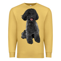 Antique Gold black poodles dog Premium Sweatshirt - LillyAllenDesigns