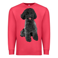 Cardinal black poodles dog Premium Sweatshirt - LillyAllenDesigns